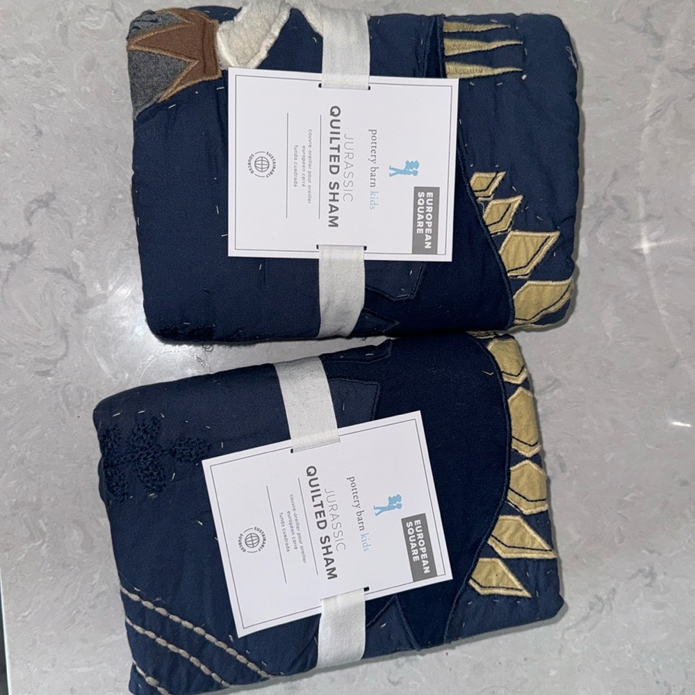 Pottery Barn Kids Jurassic Euro Sham - set of 2